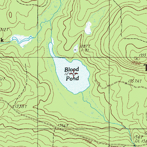 Topographic Map of Blood Pond, ME