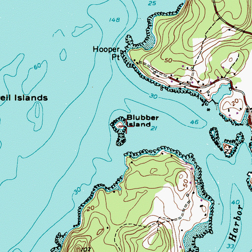 Topographic Map of Blubber Island, ME