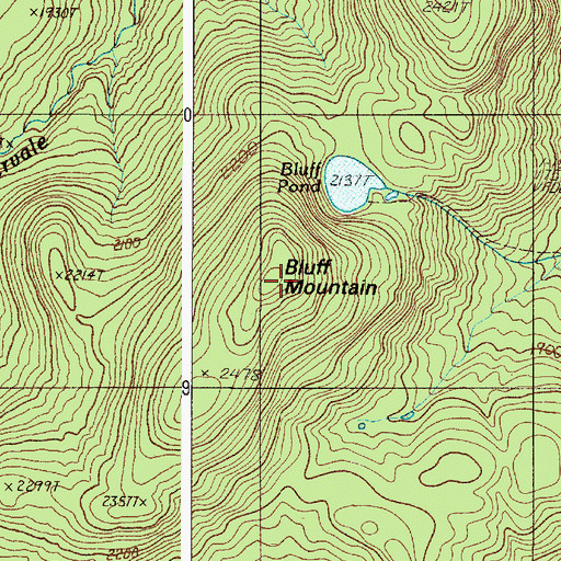 Topographic Map of Bluff Mountain, ME
