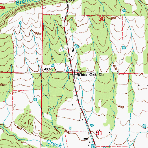 Topographic Map of White Oak Church, AR