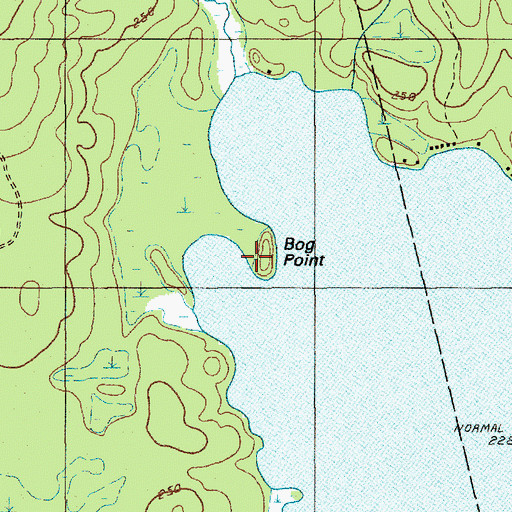 Topographic Map of Bog Point, ME