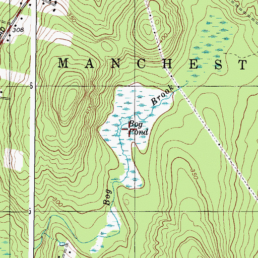Topographic Map of Bog Pond, ME