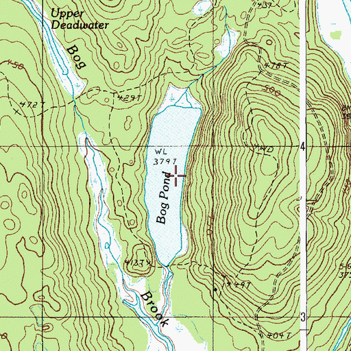Topographic Map of Bog Pond, ME