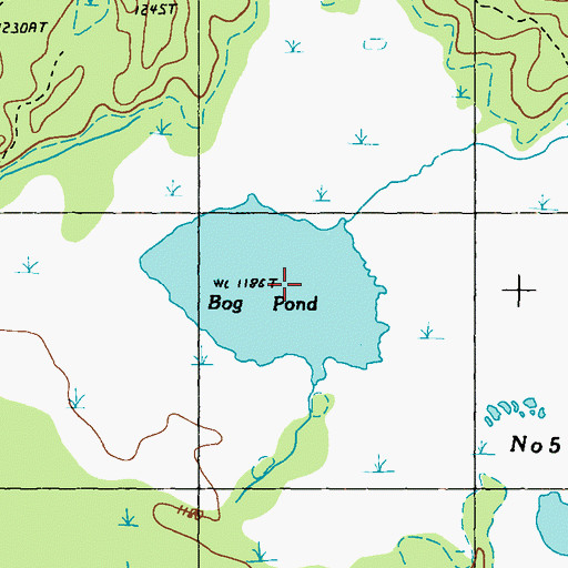 Topographic Map of Bog Pond, ME