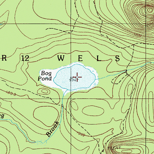 Topographic Map of Bog Pond, ME
