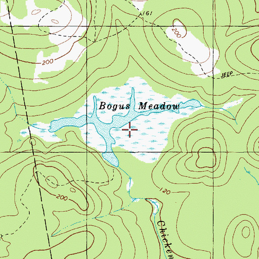 Topographic Map of Bogus Meadow, ME