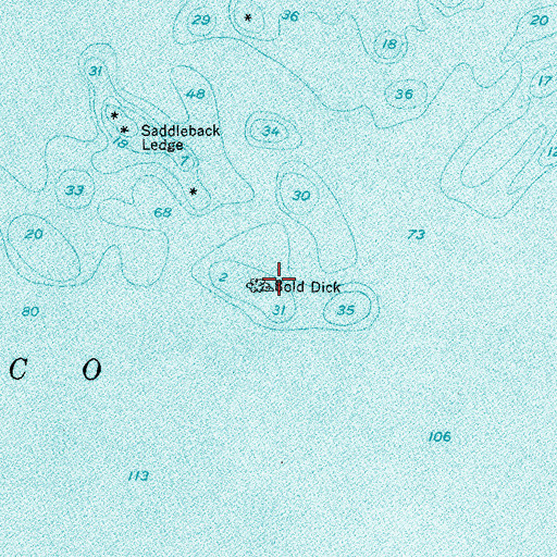 Topographic Map of Bold Dick, ME