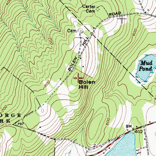 Topographic Map of Bolen Hill, ME