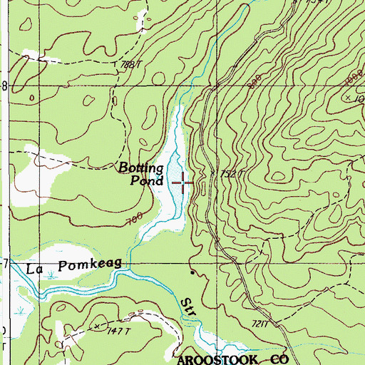 Topographic Map of Botting Pond, ME
