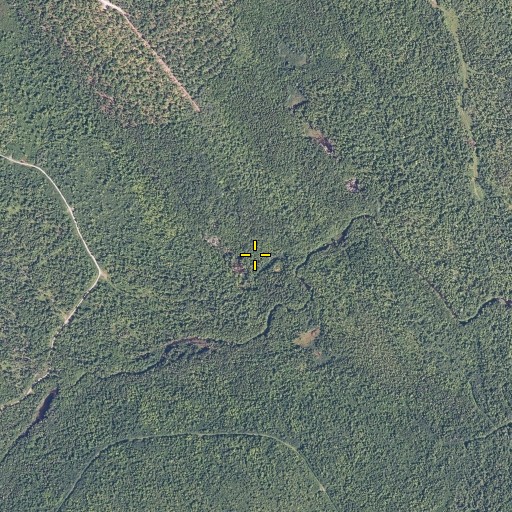 Aerial/Satellite Image of Bottle Brook, ME
