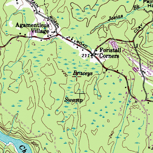 Topographic Map of Braceys Swamp, ME