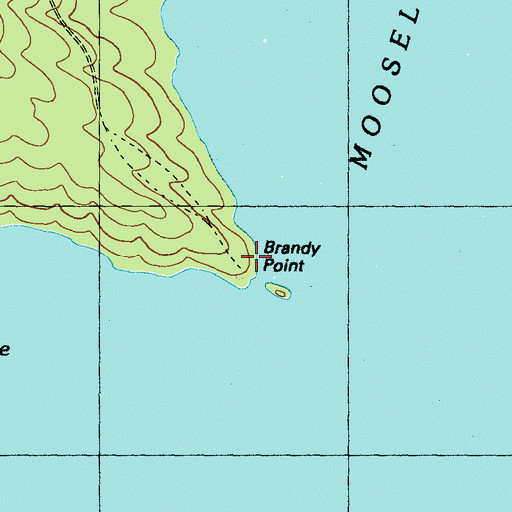 Topographic Map of Brandy Point, ME