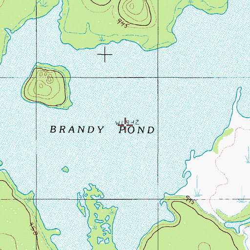 Topographic Map of Brandy Pond, ME