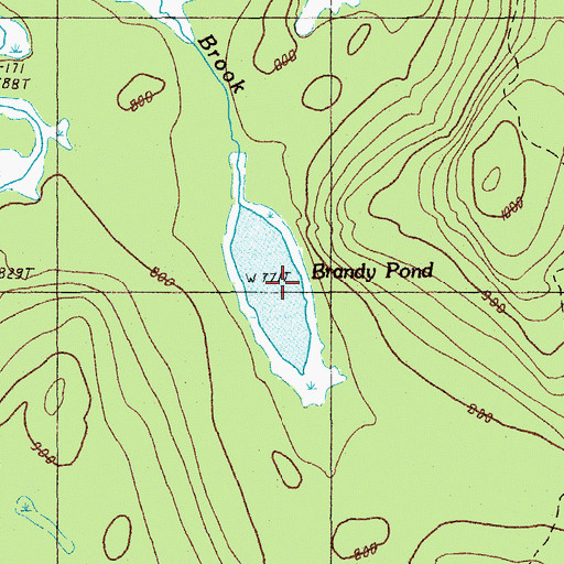 Topographic Map of Brandy Pond, ME