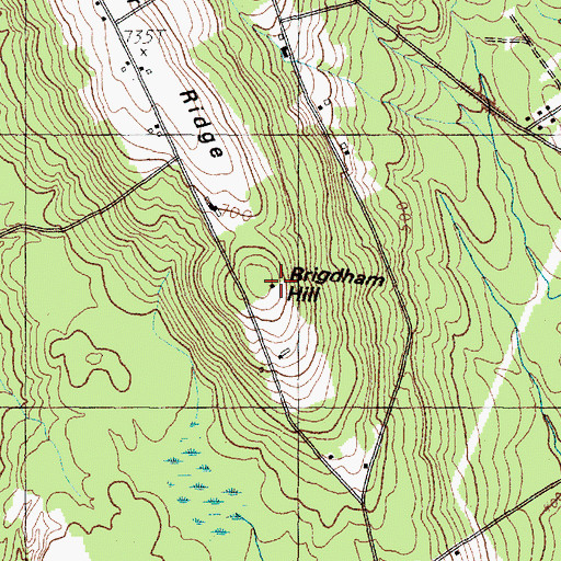Topographic Map of Brigham Hill, ME