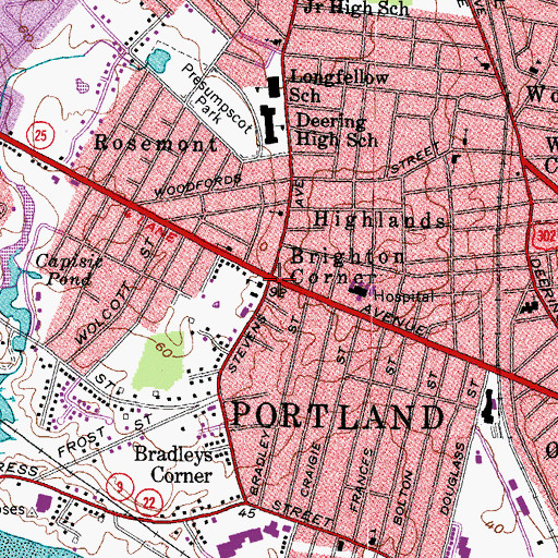 Topographic Map of Brighton Corner, ME