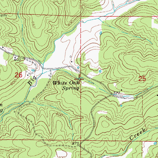 Topographic Map of White Oak Spring, AR