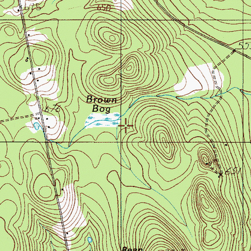 Topographic Map of Brown Bog, ME