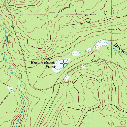Topographic Map of Brown Brook Pond, ME