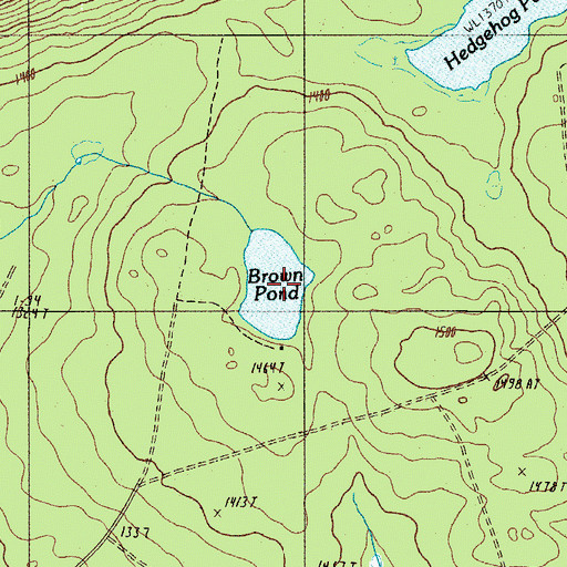 Topographic Map of Brown Pond, ME