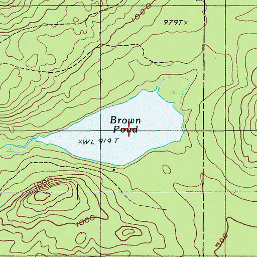 Topographic Map of Brown Pond, ME