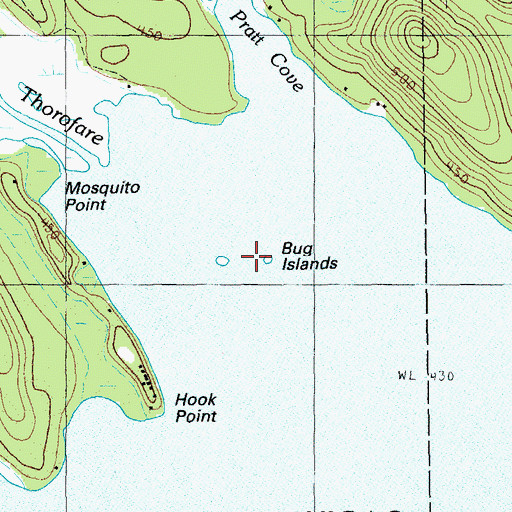 Topographic Map of Bug Island, ME