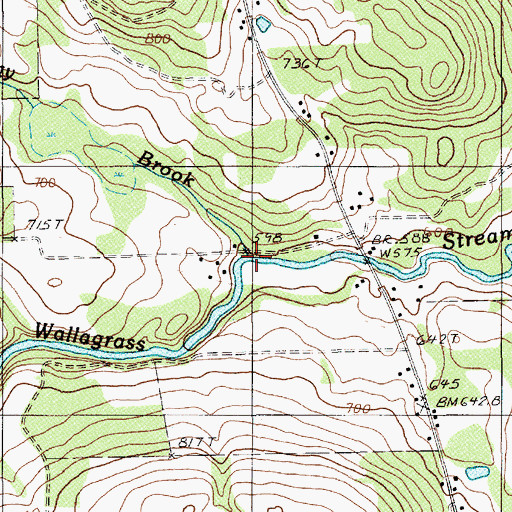 Topographic Map of Buggy Brook, ME
