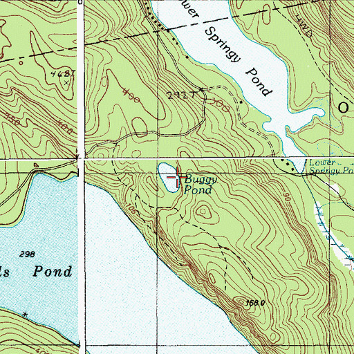 Topographic Map of Buggy Pond, ME