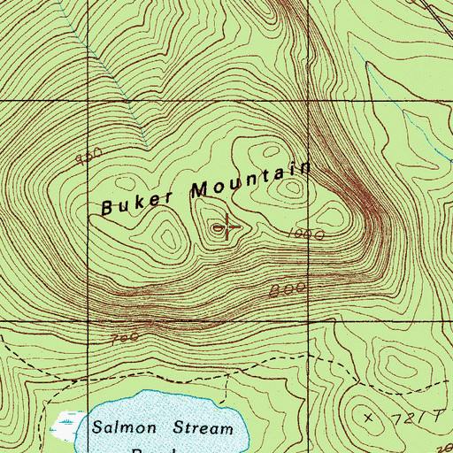 Topographic Map of Buker Mountain, ME