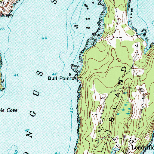 Topographic Map of Bull Point, ME