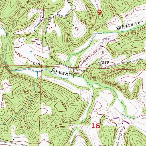Topographic Map of Whitener Branch, AR