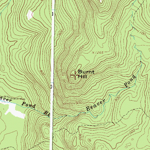 Topographic Map of Burnt Hill, ME