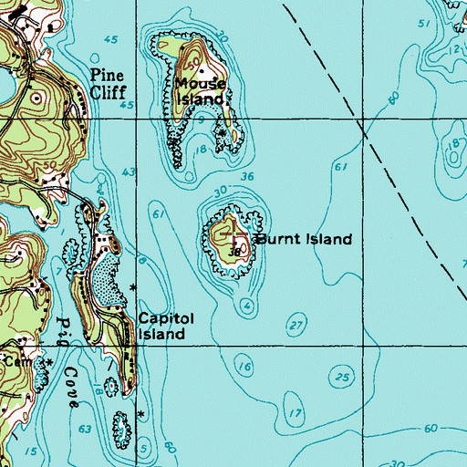 Topographic Map of Burnt Island, ME