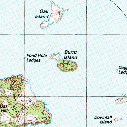 Topographic Map of Burnt Island, ME