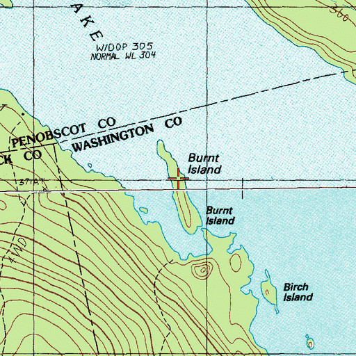 Topographic Map of Burnt Island, ME