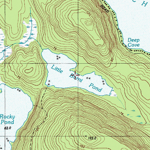 Topographic Map of Little Burnt Pond, ME