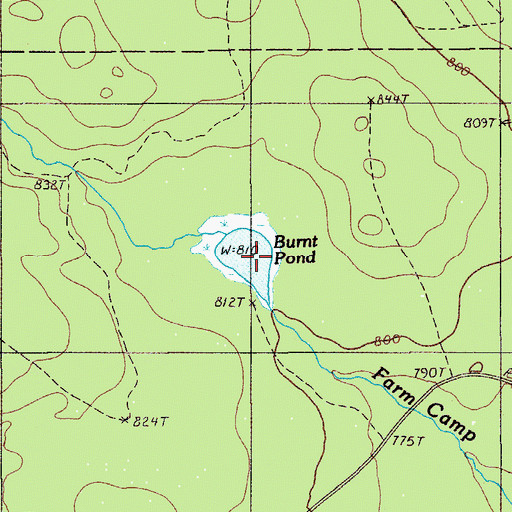 Topographic Map of Burnt Pond, ME