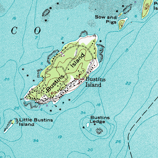 Topographic Map of Bustins Island, ME