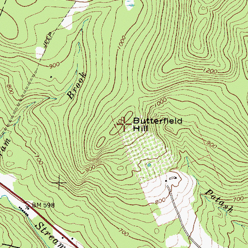 Topographic Map of Butterfield Hill, ME