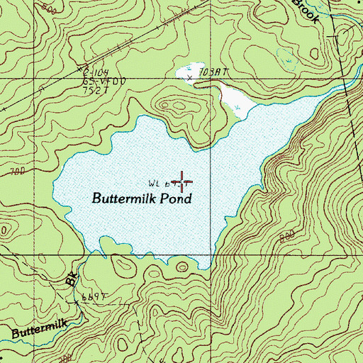 Topographic Map of Buttermilk Pond, ME