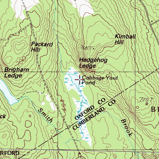 Topographic Map of Cabbage Yard Pond, ME