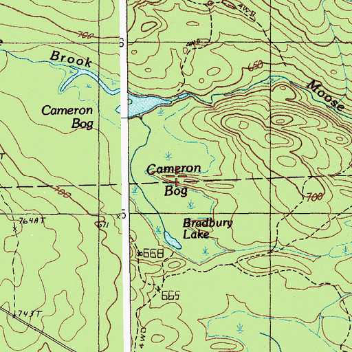 Topographic Map of Caineron Bog, ME