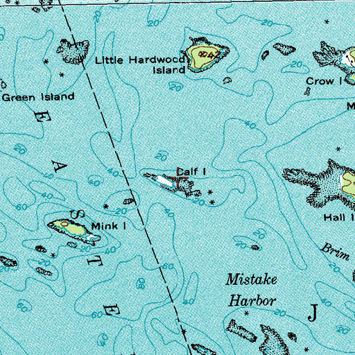 Topographic Map of Calf Island, ME