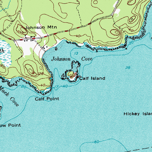 Topographic Map of Calf Island, ME