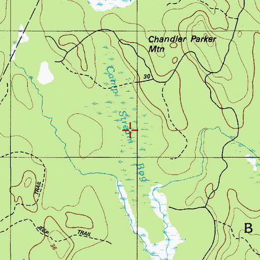 Topographic Map of Camp Stream Bog, ME