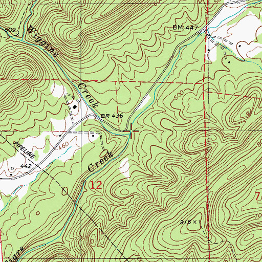 Topographic Map of Wiggins Creek, AR