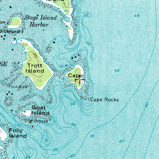 Topographic Map of Cape Island, ME