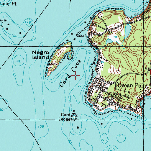 Topographic Map of Card Cove, ME