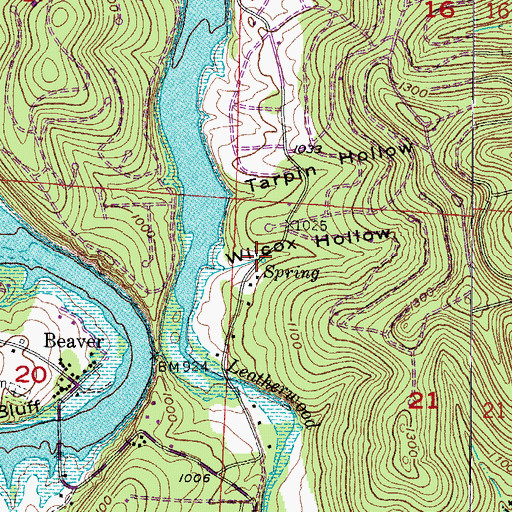 Topographic Map of Wilcox Hollow, AR