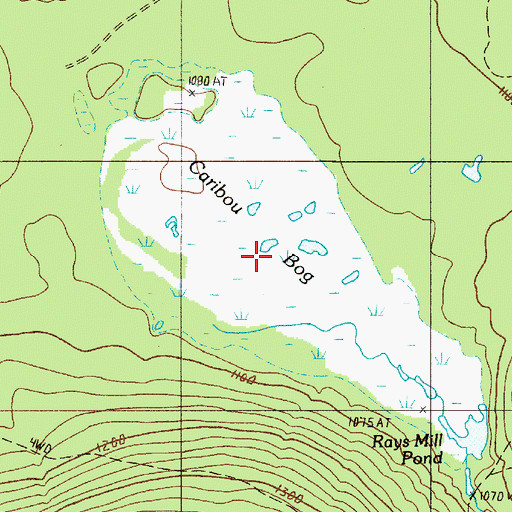 Topographic Map of Caribou Bog, ME